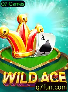 Desvendando WildAce: O Novo Sucesso da Q7.Games